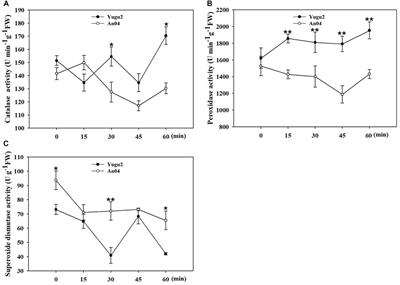 Phosphoproteomic Profiling Reveals Early Salt-Responsive Mechanisms in Two Foxtail Millet Cultivars